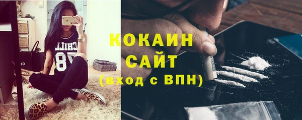 молекула духа Богданович