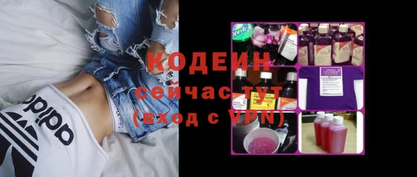 хмурый Богородицк
