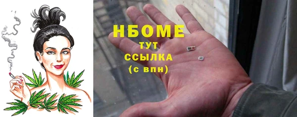 молекула духа Богданович