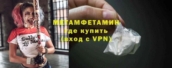 молекула духа Богданович