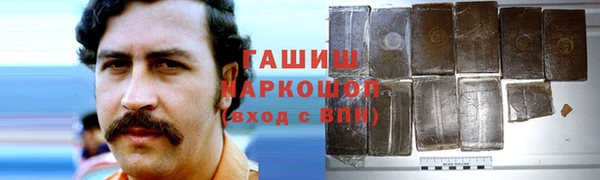 молекула духа Богданович