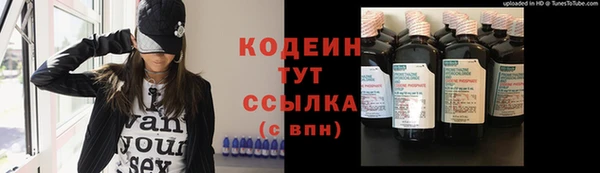 молекула духа Богданович