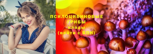 скорость Богородск
