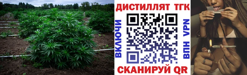 ТГК гашишное масло  наркошоп  Называевск 